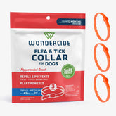 12-Month Flea & Tick Collar for Small to Medium Dogs
