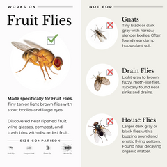 (2 Pack) Fruit Fly Trap for Home + Kitchen