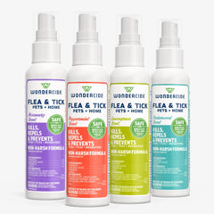 4 oz. Flea & Tick Spray for Pets + Home