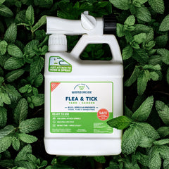 Ready-to-Use Flea & Tick Spray for Yard + Garden
