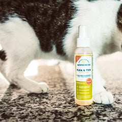 4 oz. Flea & Tick Spray for Pets + Home