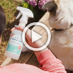 16 oz. Flea & Tick Spray for Pets + Home
