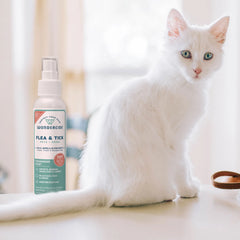 Cedarwood Flea & Tick Spray for Pets + Home